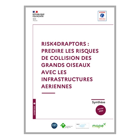 Risk4DRaptors : Prédire les risques de collision des grands oiseaux avec les infrastructures aériennes