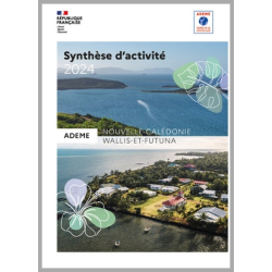Synthèse d'activité 2024...