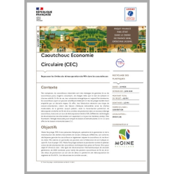 CAOUTCHOUC ECONOMIE...