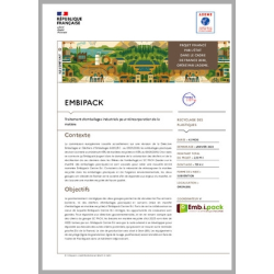 EMBIPACK - Traitement...