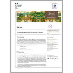 DUAL - Industrialisation de...