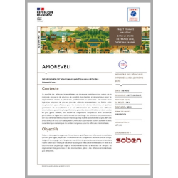 AMOREVELI -...