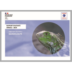 Rapport d'activité annuel...