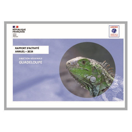 Rapport d'activité annuel 2024 - Direction Régionale Guadeloupe
