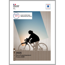 Bilan thématique industries...