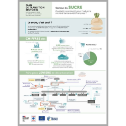 Plan de transition...