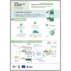 Plan de Transition...