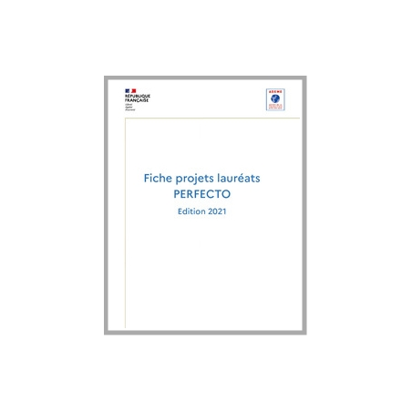 Résumé des projets lauréats de l'édition PERFECTO 2021