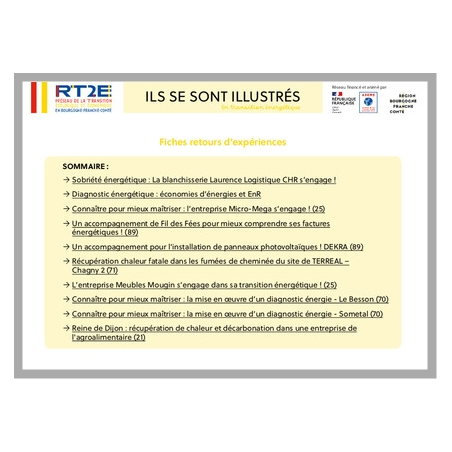 " Ils se sont illustrés " en transition énergétique