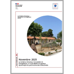 Schéma Directeur Immobilier...