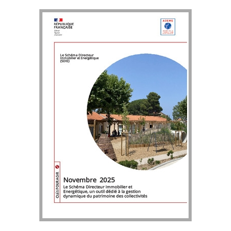 Schéma Directeur Immobilier et Energétique