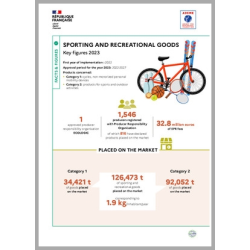 Sporting and recreational goods: key figures 2023 (Infographic)