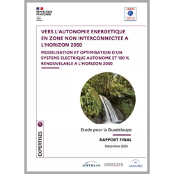 Vers l'autonomie énergétique en zone non interconnectée (ZNI) à la Guadeloupe à l'horizon 2050