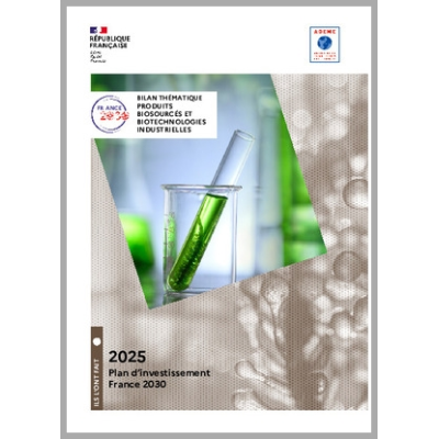Bilan thématique produits biosourcés et biotechnologies industrielles