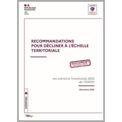 Territorialisation des scénarios TRANSITION(S) 2050