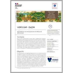 VER'E-SAF - DéZIR - Etudes FEED pour une usine de production de e-SAF par voie Methanol-to-Jet