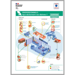 Professionnels : Que deviennent vos déchets en Martinique ?