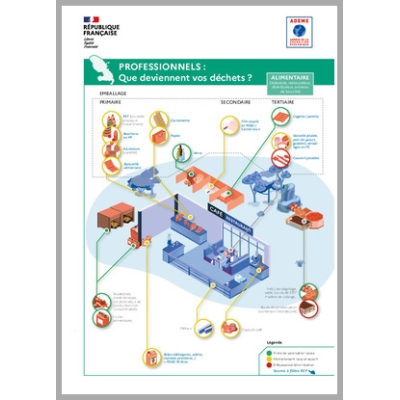 Professionnels : Que deviennent vos déchets en Martinique ?