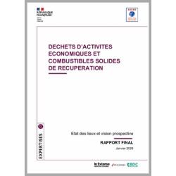 Déchets d'activité économiques (DAE) et combustibles solides de récupération (CSR)