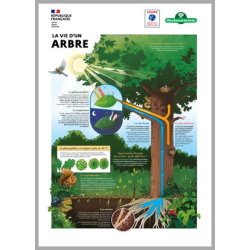 Exposition « La forêt face au changement climatique »