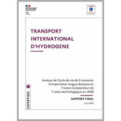 Transport international de l'hydrogène et ses dérivés - rapport final