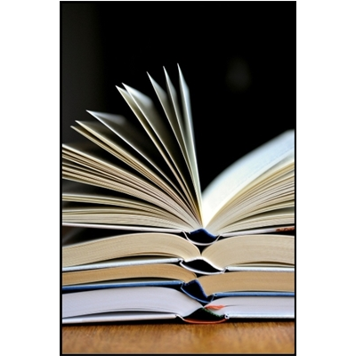 Recommandations sur l'évolution de la planification territoriale déchets et économie circulaire (DP31)