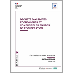 Déchets d'activité économiques (DAE) et combustibles solides de récupération (CSR)