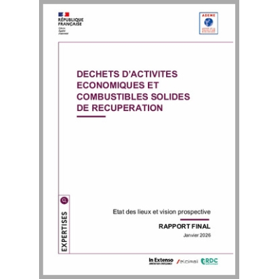 Déchets d'activité économiques (DAE) et combustibles solides de récupération (CSR)