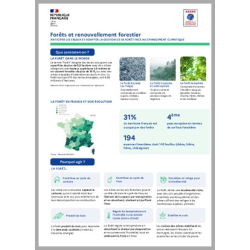 Forêt et Renouvellement forestier : comprendre et agir