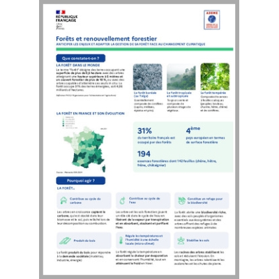 Forêt et Renouvellement forestier : comprendre et agir