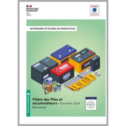 Piles et accumulateurs : données 2024