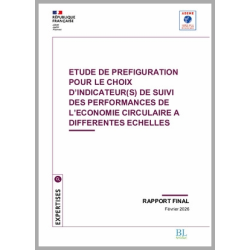 Etude de préfiguration pour le choix d'indicateur(s) de suivi des performances de l'ECi 