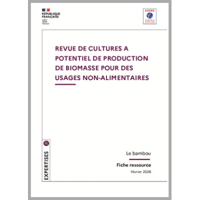 Revue de cultures à potentiel de production de biomasse pour des usages non-alimentaires