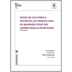 Revue de cultures à potentiel de production de biomasse pour des usages non-alimentaires