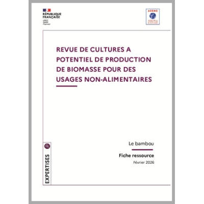 Revue de cultures à potentiel de production de biomasse pour des usages non-alimentaires
