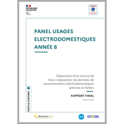 PANEL USAGES ELECTRODOMESTIQUES ANNEE 6