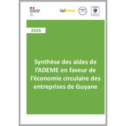 Synthèse des aides de l'ADEME en faveur de l'économie circulaire des entreprises de Guyane