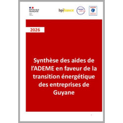 Synthèse des aides de l'ADEME en faveur de la transition énergétique des entreprises de Guyane
