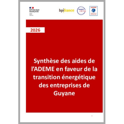 Synthèse des aides de l'ADEME en faveur de la transition énergétique des entreprises de Guyane