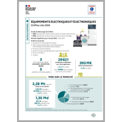 Equipements électriques et électroniques : données 2024 (infographie)