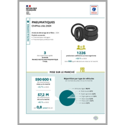 Pneumatiques : données 2024 (infographie)