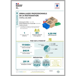 Emballages professionnels : données 2024 (infographie)