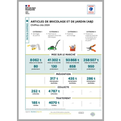 Articles de bricolage et de jardin : données 2024 (infographie)
