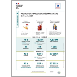 Produits chimiques : données 2024 (infographie)