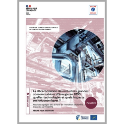 La décarbonation des industries grandes consommatrices d'énergie en 2050 : quelles technologies et impacts socio-économiques ?