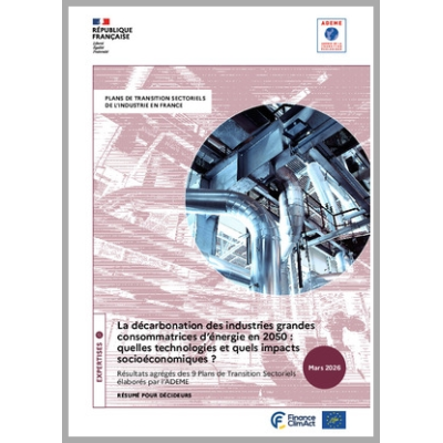 La décarbonation des industries grandes consommatrices d'énergie en 2050 : quelles technologies et impacts socio-économiques ?