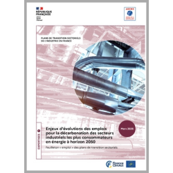 Enjeux d'évolution des emplois pour la décarbonation des industries grandes consommatrices d'énergie à horizon 2050