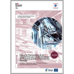 Enjeux de financements et de compétitivité pour la décarbonation de l'industrie grande consommatrice d'énergie