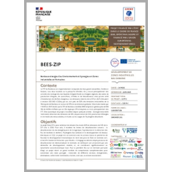 BEES-ZIP - Bordeaux énergies Eau Environnement et Synergies en Zones Industrielles et Portuaires