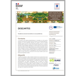 DESCARTES - Procédé de conversion des déchets en sucres plateformes.